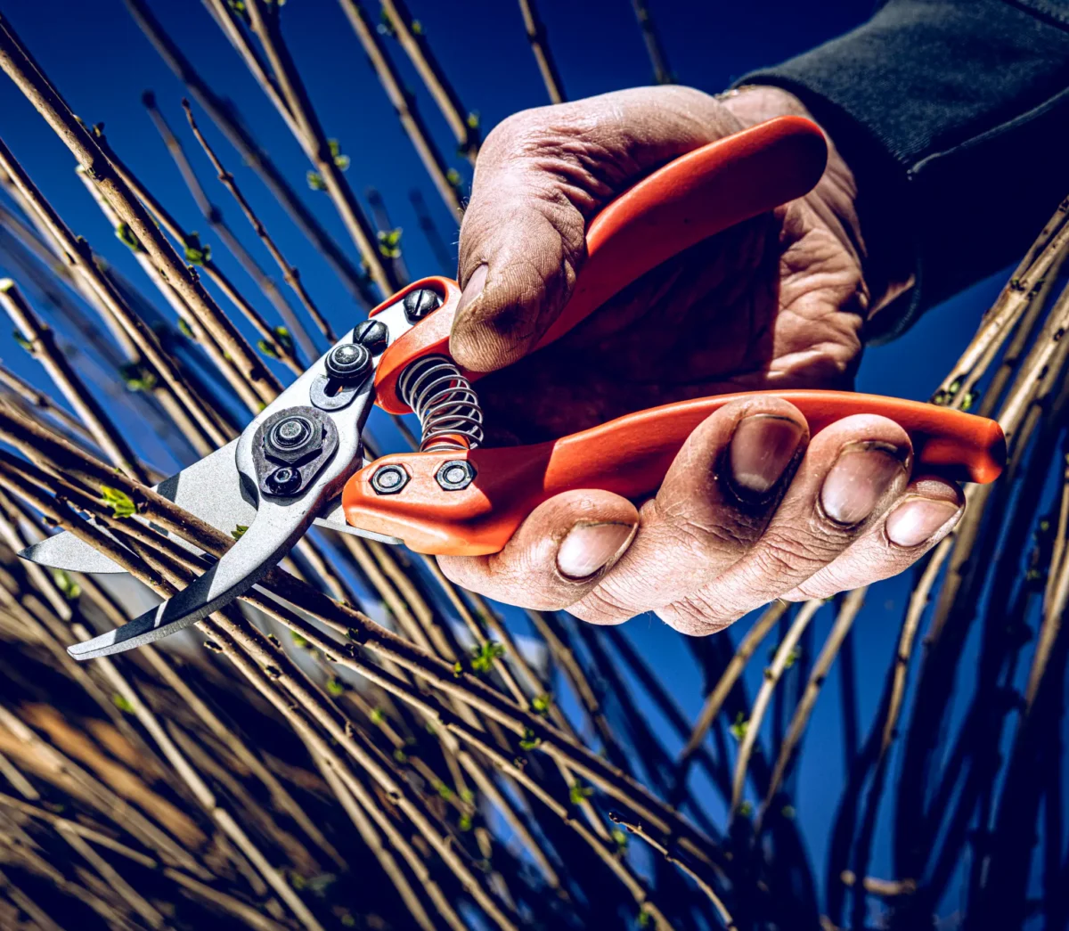 Löwe 11 Precision Clean Cut pre ženy