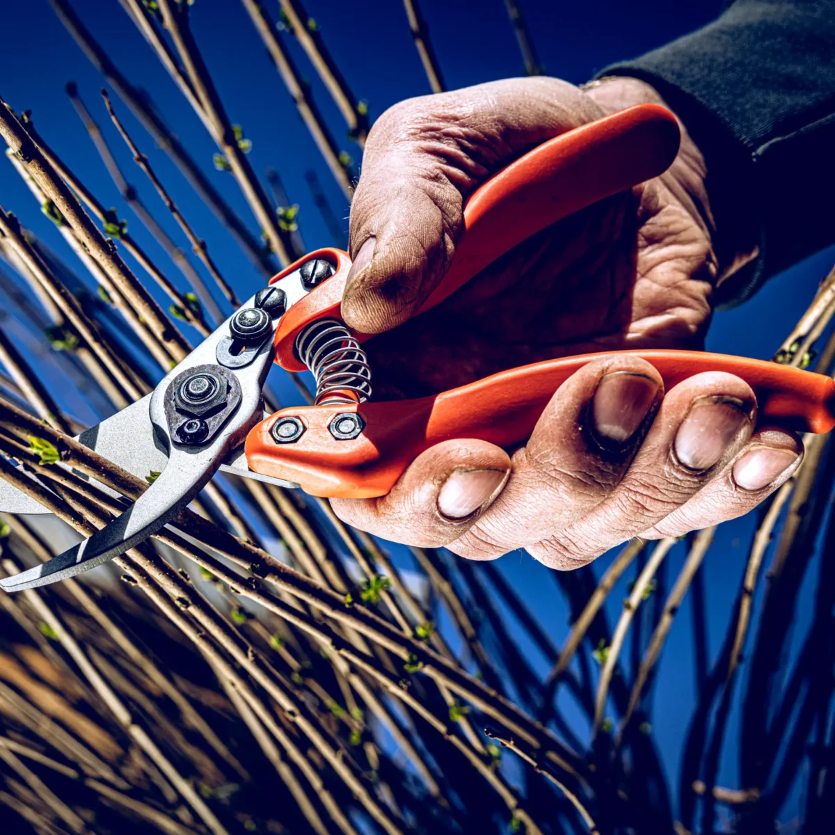 Löwe 11 Precision Clean Cut pre ženy
