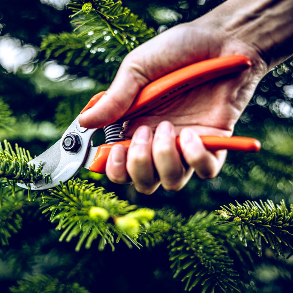Záhradné nožnice Löwe 14.104 Economic Clean Cut