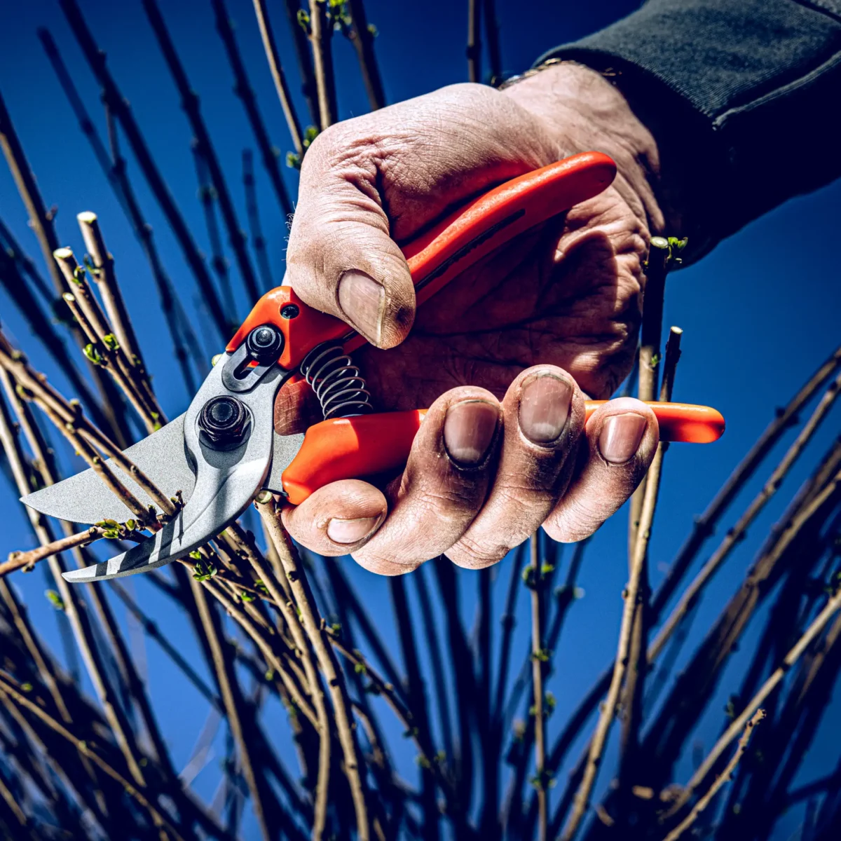 Záhradné nožnice Löwe 14.107 Economic Clean Cut pre menšie ruky