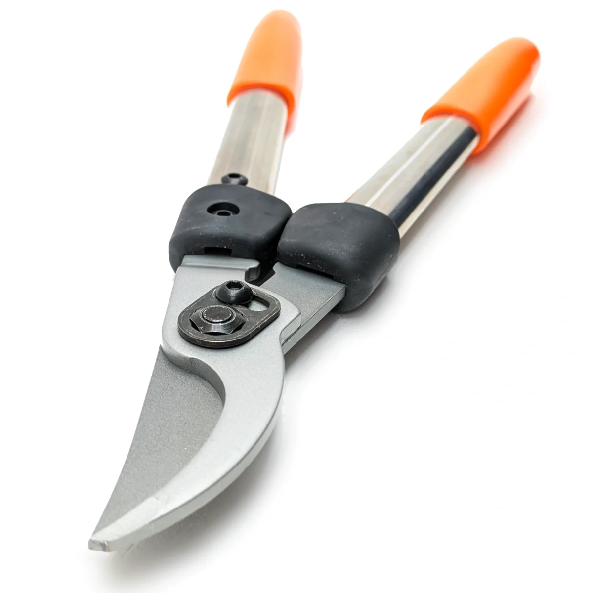 Löwe Astschere 31 40 cm klein